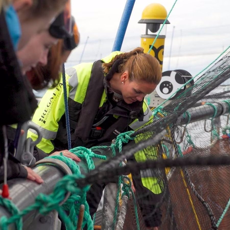 Folk lener seg over og ser ned i merde